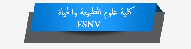 FSNV