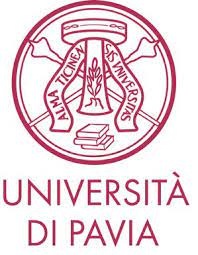 logo pavia min
