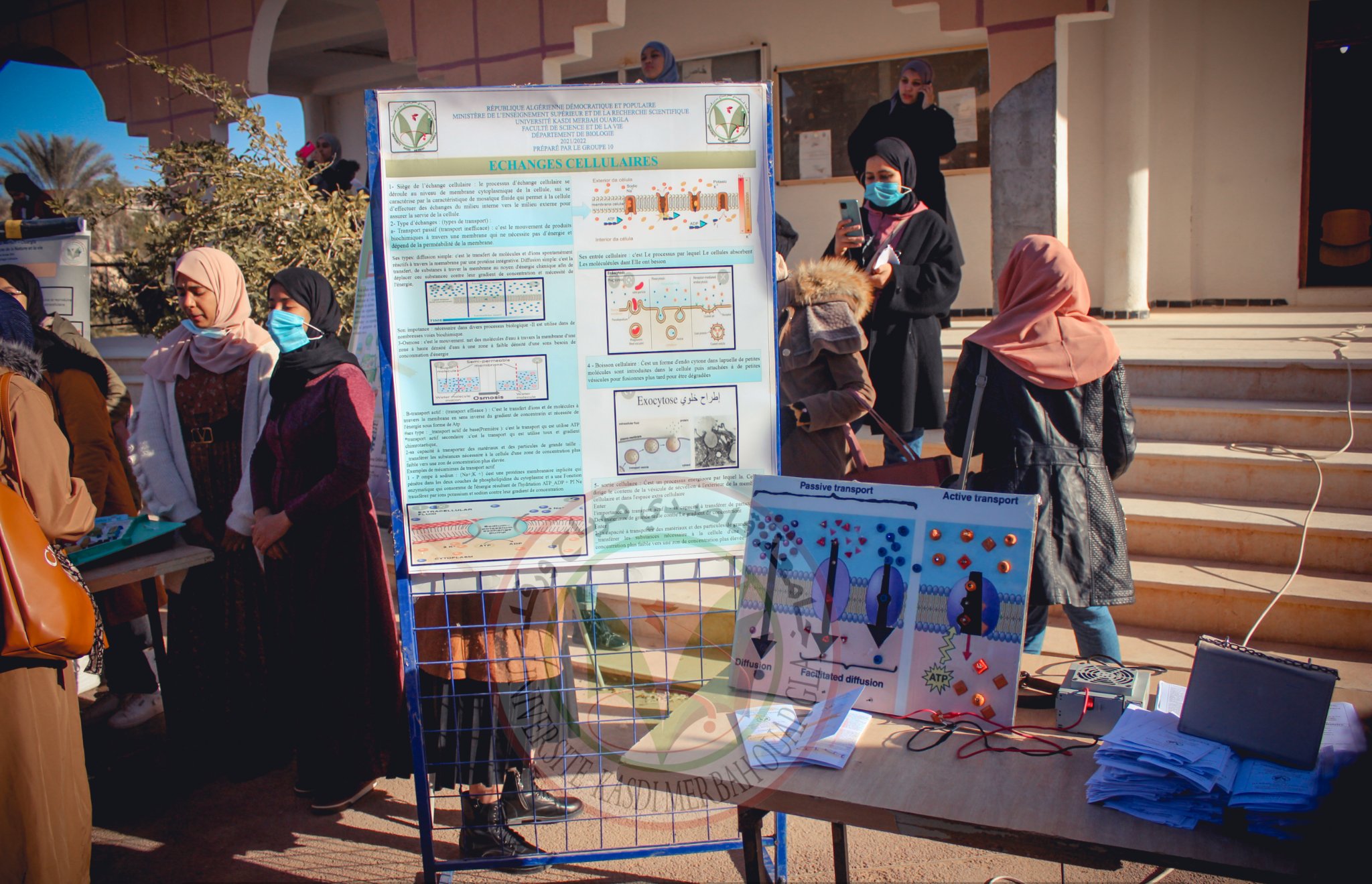 271791217 3075203996101295 5295355215052802101 n