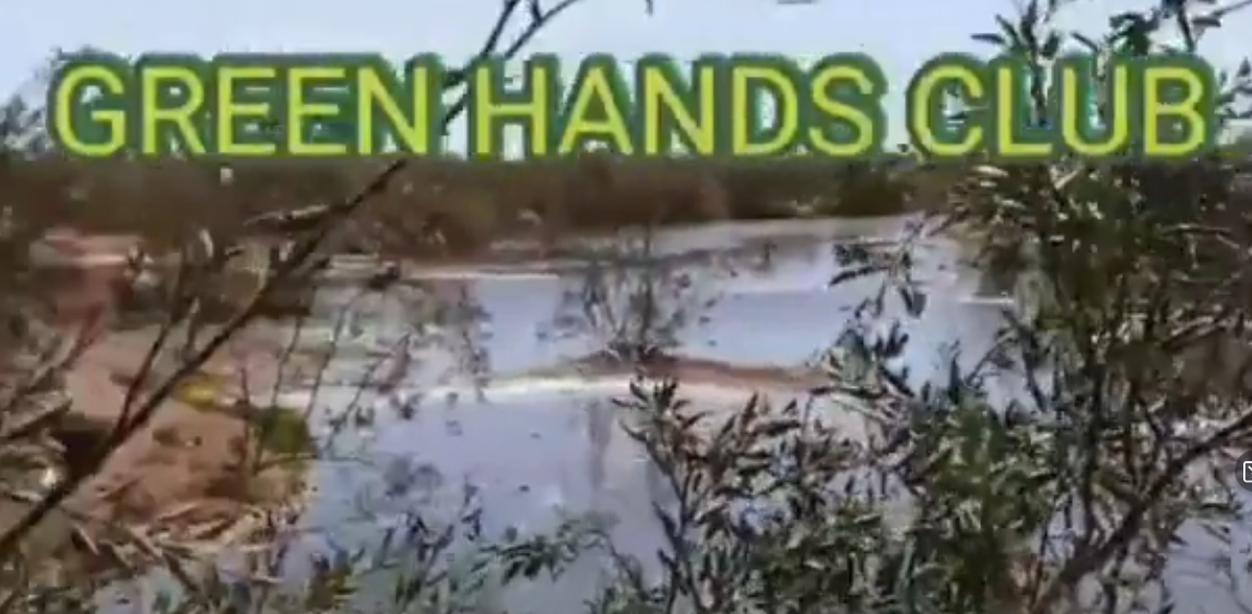 Green hands clubs