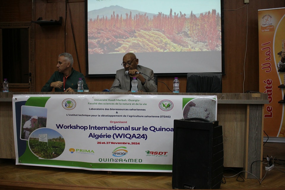 468330335 122157324476272173 918847239772868635 n