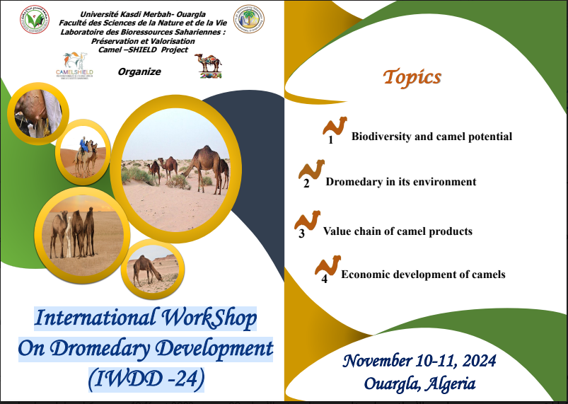 Capture décran 2023 12 21 11 13 10