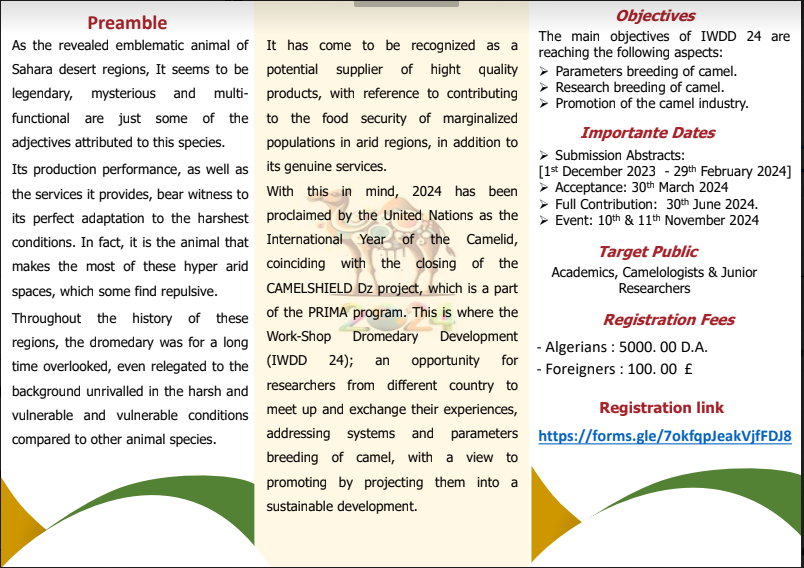 Capture décran 2023 12 21 11 13 43