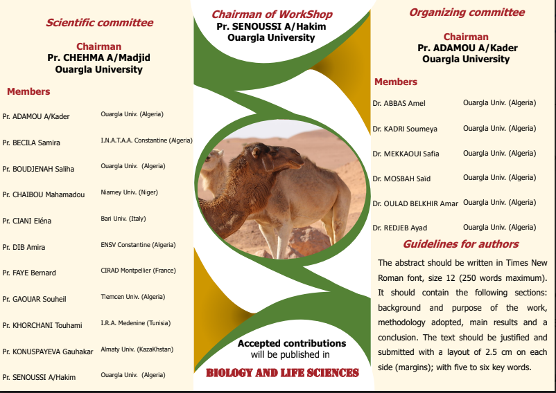 Capture décran 2023 12 21 11 14 15