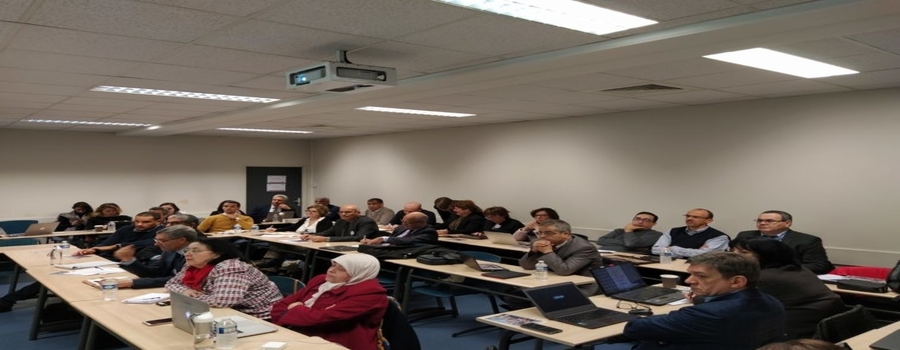 Réunion de mi-parcours – Rouen, 14-15 janvier 2020_(3)