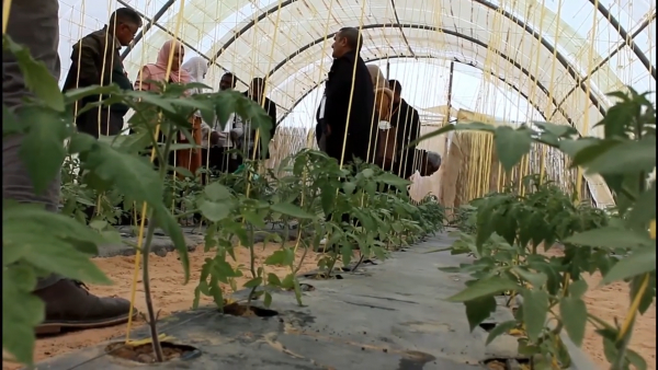 The first national forum organized by the Kassadi University of Mirbah and Ouargla, and the Algerian National Institute for Agricultural Research
