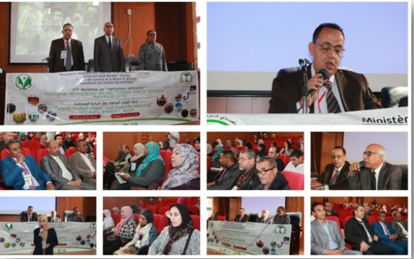 ورشة العمل السابعة حول الزراعة الصحراوية بكلية علوم الطبيعة والحياة