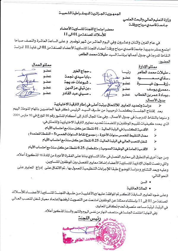 معايير الترقية الاختيارية page 0001